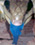 Bluey! :bluey1:
